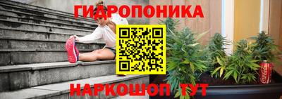 амф Дубна