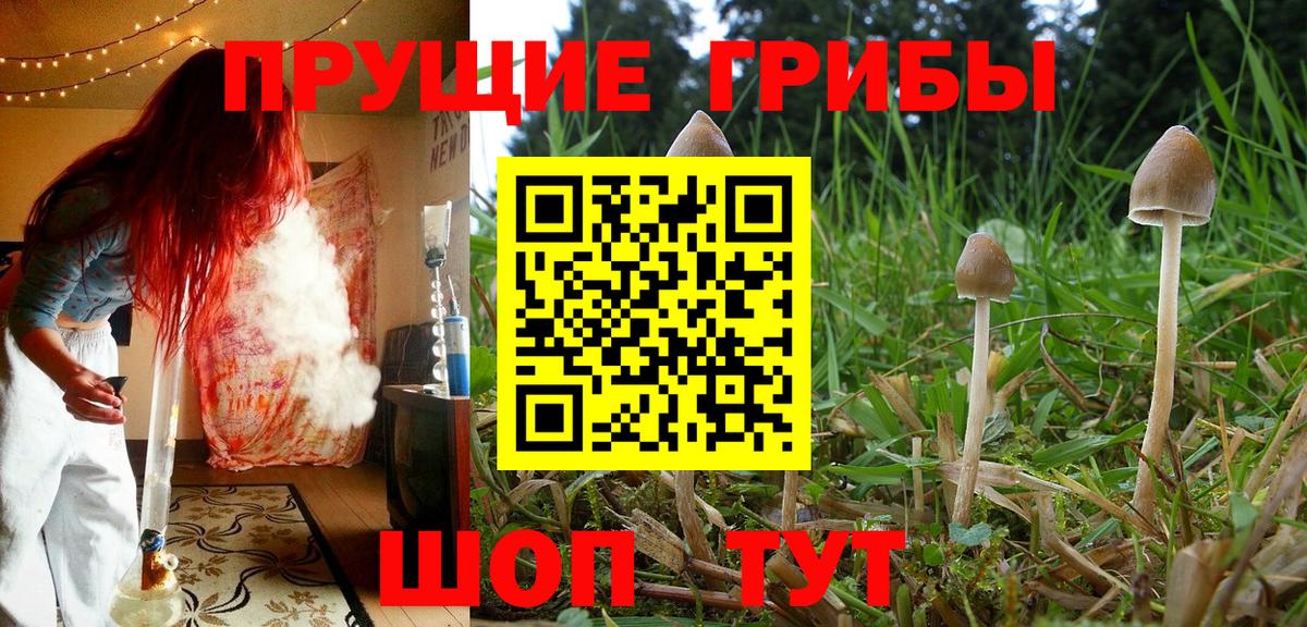 Галлюциногенные грибы прущие грибы  Вход с VPN  Лысьва  Галлюциногенные грибы GOLDEN TEACHER 